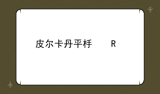 皮尔卡丹平板电脑