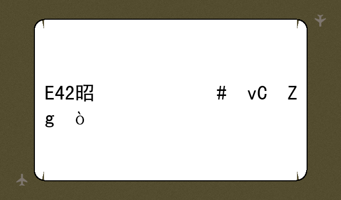 E42是什么材料？