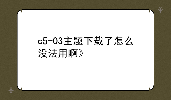 c5-03主题下载了怎么没法用啊》
