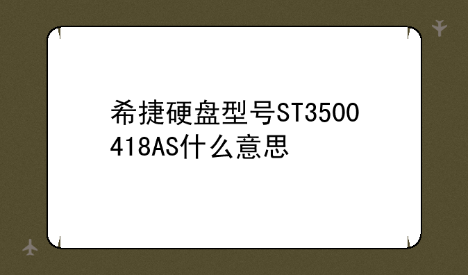 希捷硬盘型号ST3500418AS什么意思