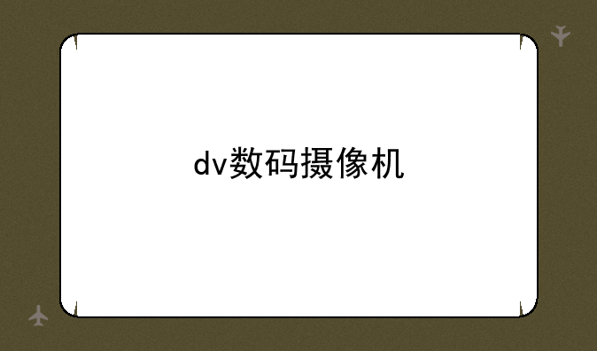 dv数码摄像机
