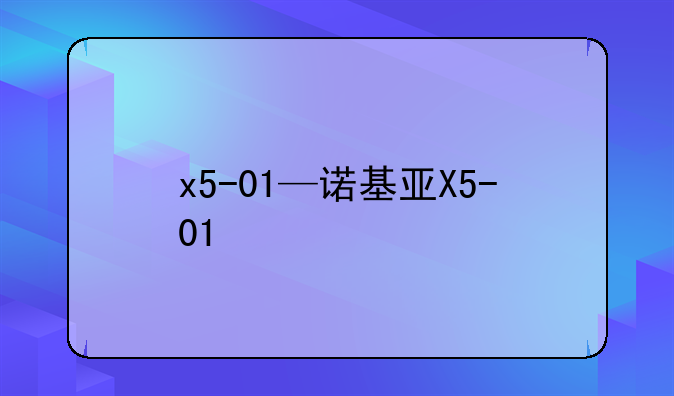 x5-01—诺基亚X5-01